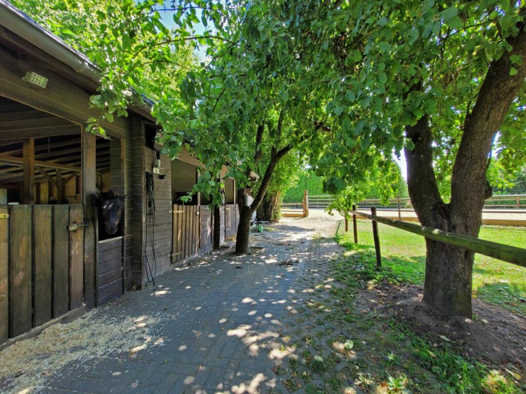 Leben mit Pferden – Einfamilienhaus mit Reitplatz, Weideflächen und Waldgrundstück