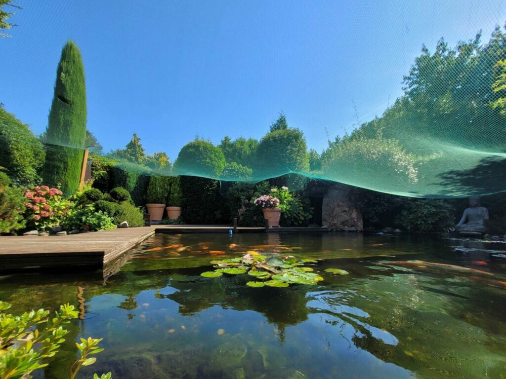 Schwimmteich