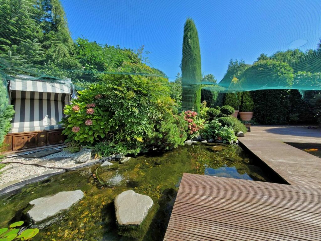 Schwimmteich