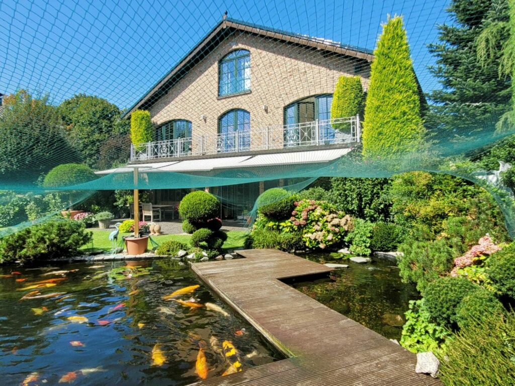 Hausansicht mit Schwimmteich
