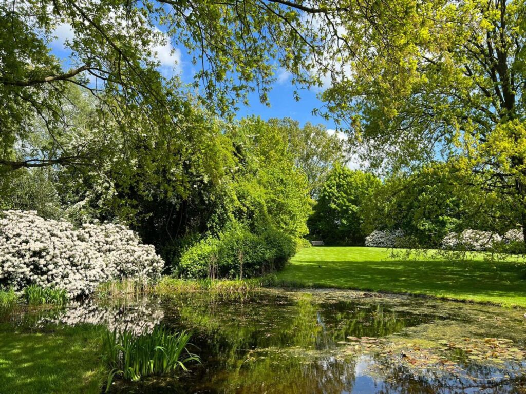 parkähnlicher Garten