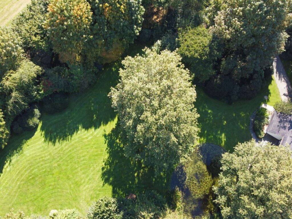 Garten Ostseite