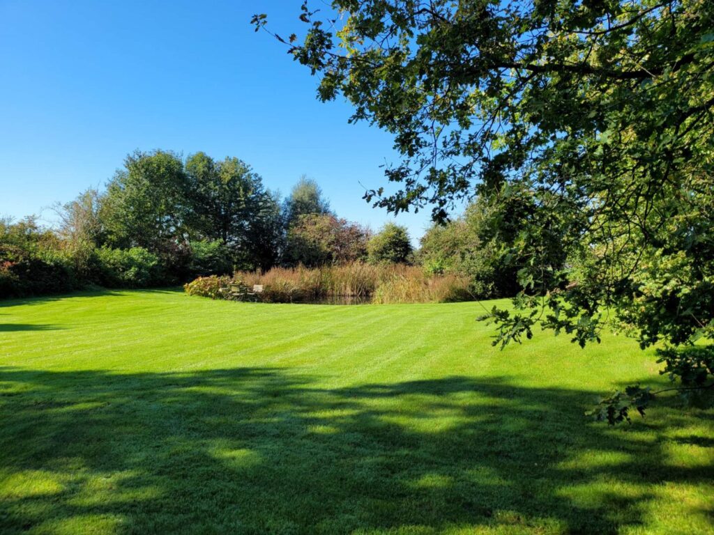 Garten mit Teich