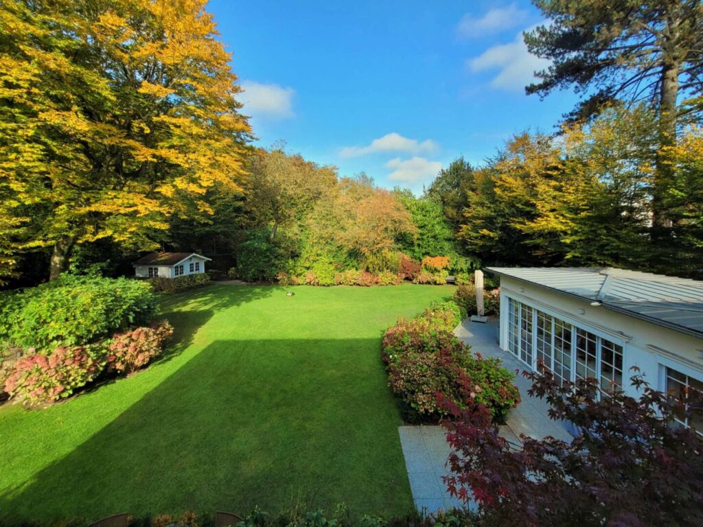 Blick in den Garten