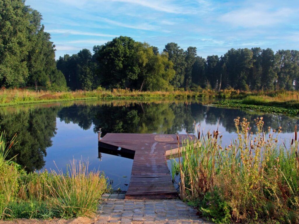 Schwimmteich