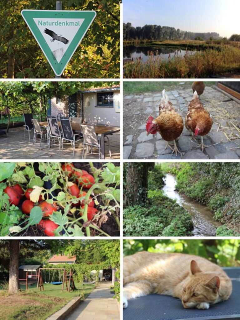 Impressionen