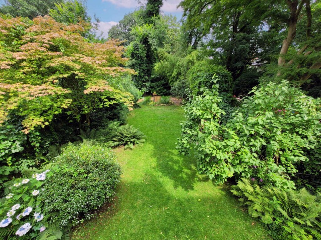 Blick in den Garten