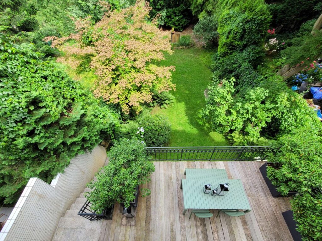 Blick in den Garten
