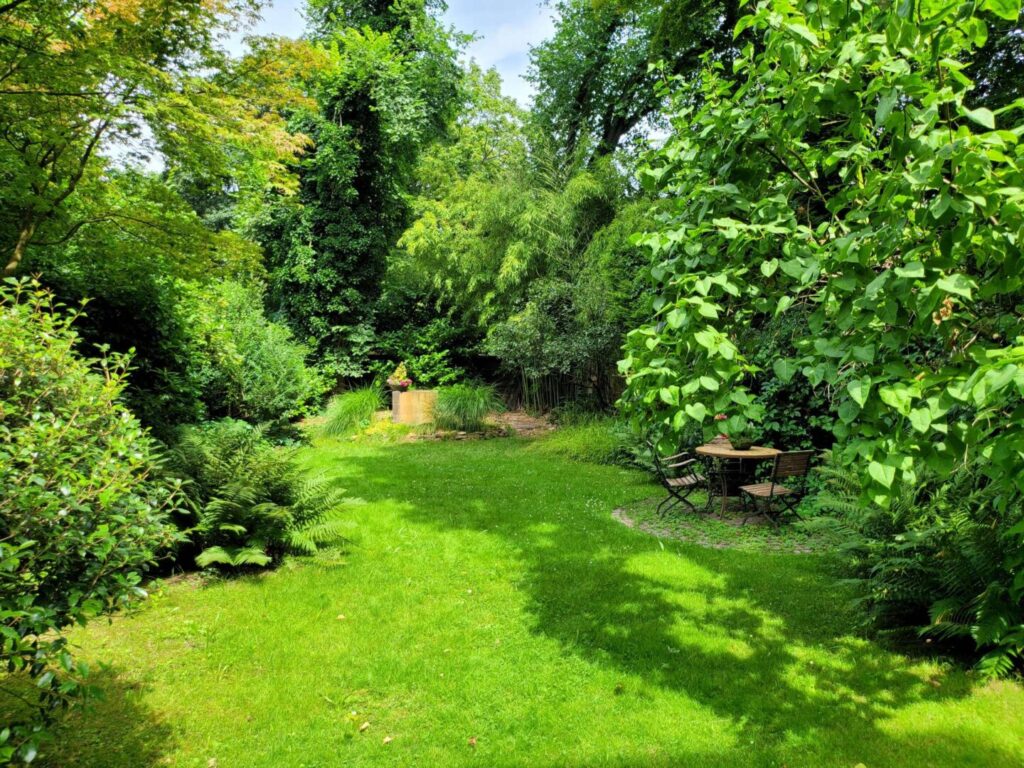 alteingewachsener Garten