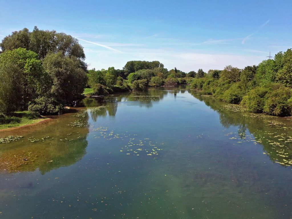 alter Rheinarm