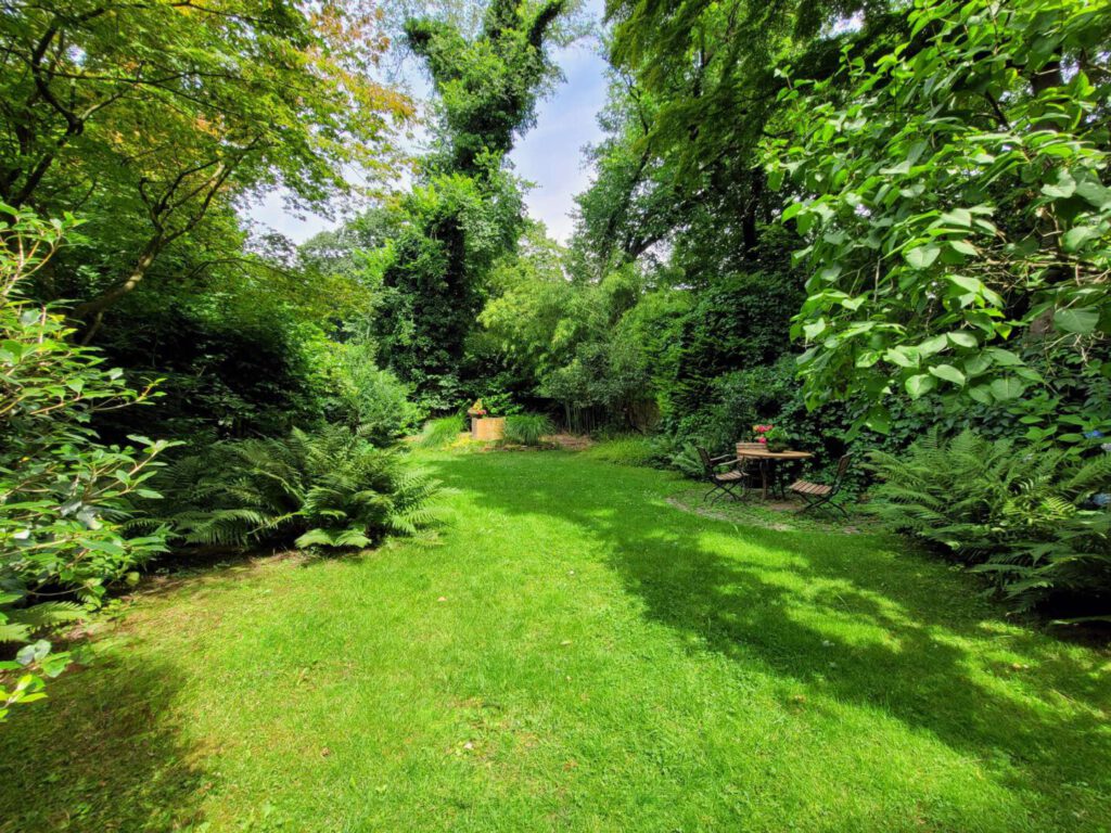 alteingewachsener Garten