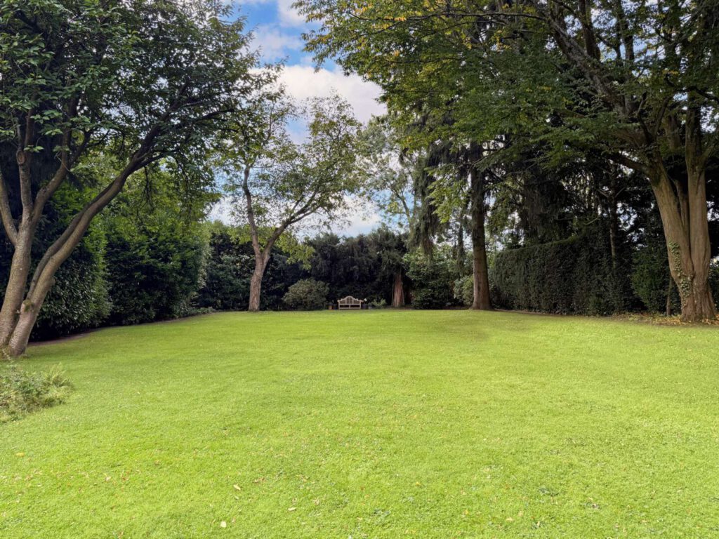 weitläufiger Garten