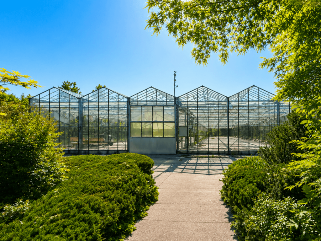 großes Gewächshaus
