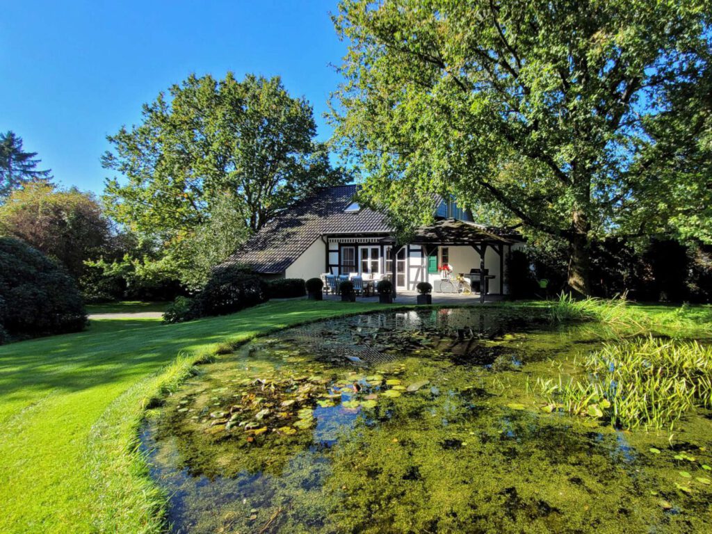 Garten mit Teich