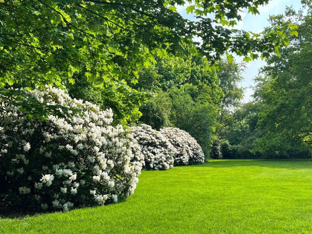 parkähnlicher Garten